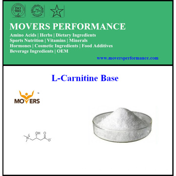 Perda de peso com venda a quente L-carnitina Base